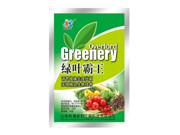 绿叶霸王.jpg