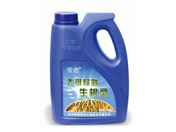 大树移栽生根灵