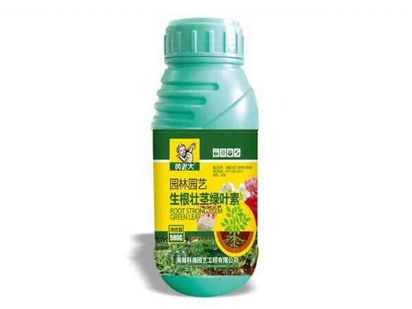 生根壮茎绿叶素.jpg